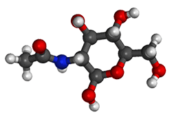 Acetyl Glucosamine