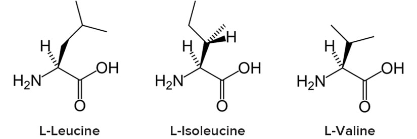 Razvejane aminokisline