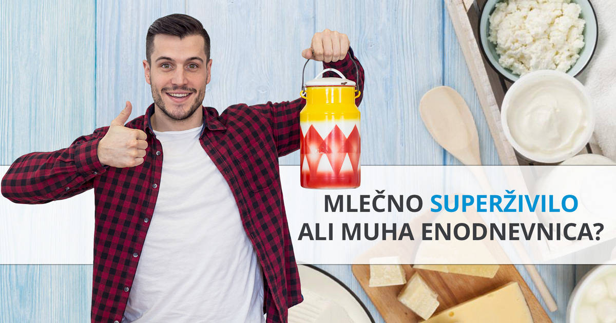 Grški jogurt – muha enodnevnica ali superživilo?