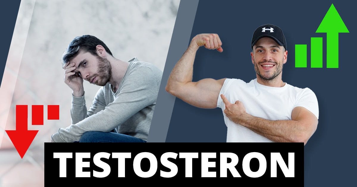 Testosteron – kako do več mišic in celodnevne energije