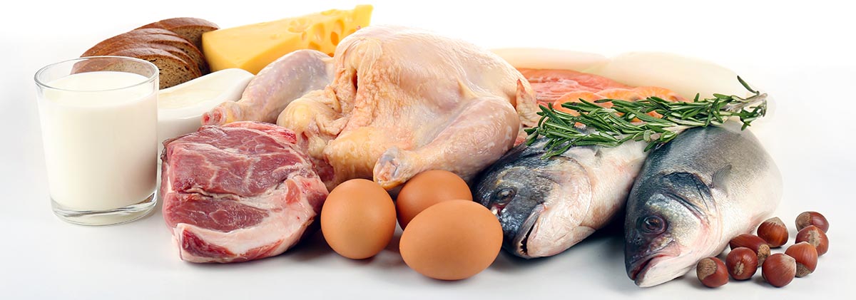 Мясо птицы белки. Мясо рыба курица. Мясные и рыбные продукты. Мясо рыба яйца. Мясо рыба молоко.
