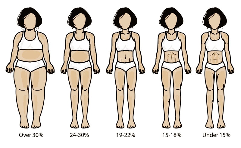 Slike odstotka telesne maščobe - ženske