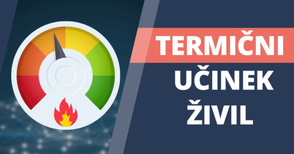 Termogeneza: seznam 6 živil, ki med prebavo pokurijo največ kalorij