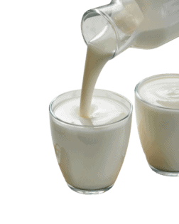 Vpliv uživanja mlečnega napitka, bogateka s probiotiki, na razpoloženje