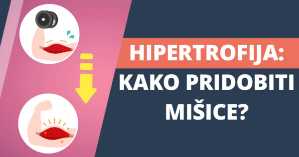 Mišična hipertrofija: kako pridobiti mišično maso?