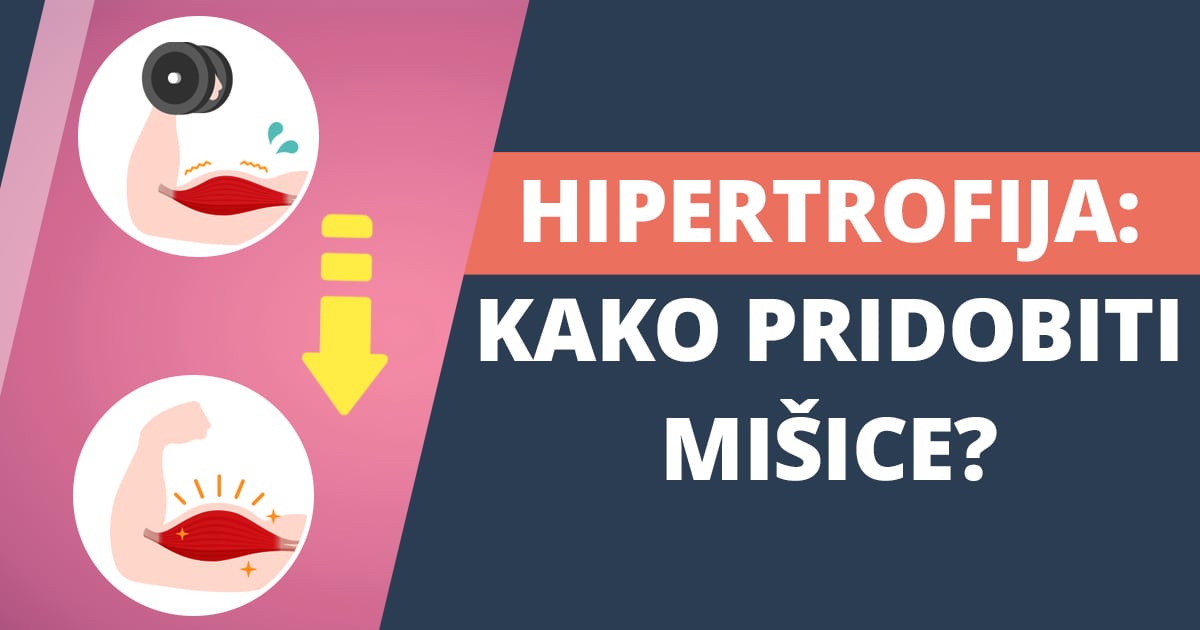 Mišična hipertrofija: kako pridobiti mišično maso?