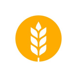 Ali rž vsebuje gluten