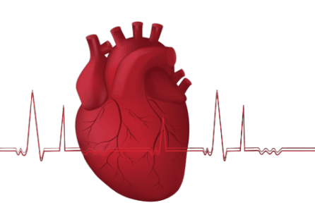 Tveganje za srčno-žilne bolezni